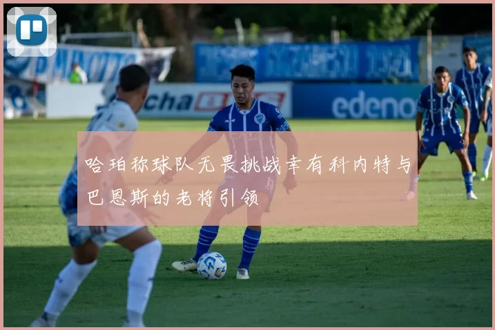 哈珀称球队无畏挑战幸有科内特与巴恩斯的老将引领