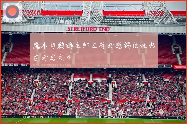 魔术与鹈鹕主帅互有好感锡伯杜也在考虑之中