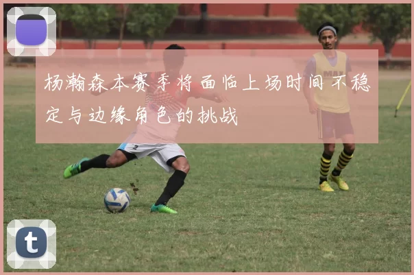 杨瀚森本赛季将面临上场时间不稳定与边缘角色的挑战