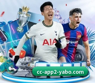 五大服务分区,信息按项目分类(Yabo)
